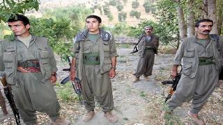 Nazim Bekîr: PKK, Zergelê Köyü Muhtarı ve 2 sivili alıkoydu