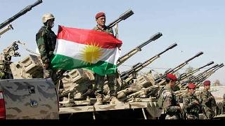 Yüzerek peşmergeye teslim oldular