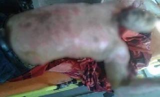 Kanton yönetimini protesto eden bir kişi kendini yaktı!