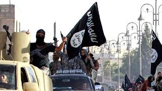 Vahap Coşkun: IŞİD'e katılan Kürtler PKK'ye karşı savaşmak için katılıyor