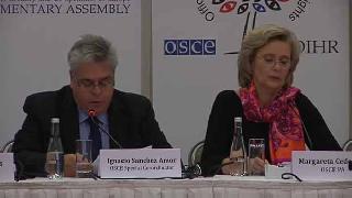 Uluslararası Gözlemciler 1 Kasım'ı Adil Bulmadı