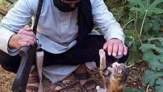  IŞİD’in canlı bombası kediler