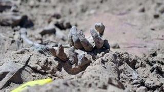 Şengal’de yeni toplu mezarlar