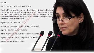 TBMM'ye göre Kürtçe hala bilinmeyen (x) bir dil