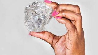 Dünyanın en büyük ikinci elması bulundu