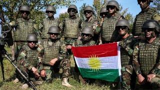 Almanya, Peşmerge’ye yardımı artırıyor