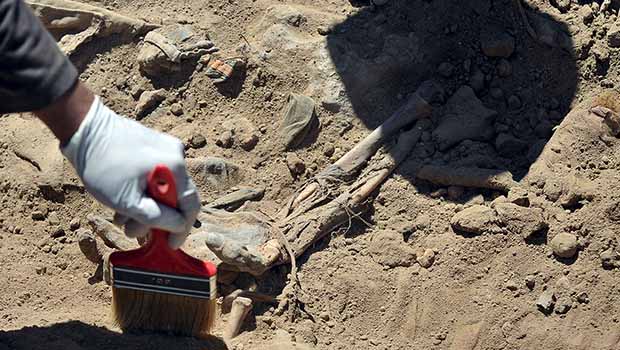 Şengal'de 110 Ezidinin gömüldüğü toplu mezar bulundu