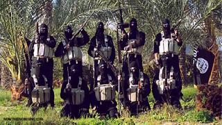 WSJ: 'IŞİD yeni başkentini ilan edecek'