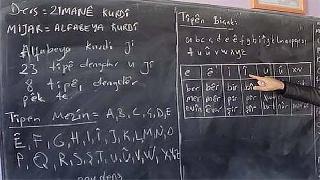 Amerikalı Dil bilimci: Kürtlerin dillerine karşı tutumu