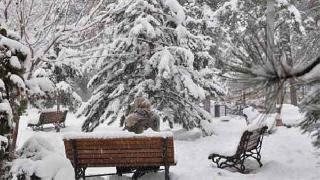 Kuzey Kürdistan'da 1500'den fazla köy yolu ulaşıma kapandı