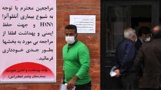 Domuz gribi Doğu Kürdistan’da yayılıyor