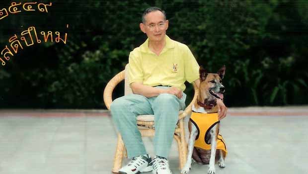 Taylandlı işçi Kralın köpeğine hakaretten yargılanıyor