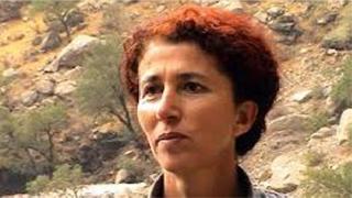 Sakine Cansız öldürülmeseydi ne anlatacaktı?