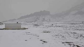 Kürt komutanlar Berzencilerin mezarı bulundu