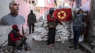Öcalan'dan İki tarafa da hendek tepkisi