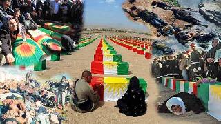 Nursel Aydoğan: Kürtler devlet kurmamalı