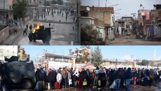 Genetiği Problemli PKK Siyaseti Ve Kürd’ün Kanatılan Vicdanı