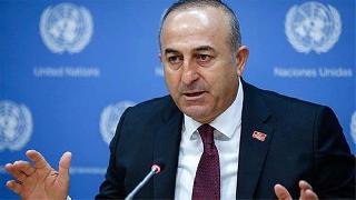 Türk Dışişleri Bakanı Akademisyenleri terörist ilan etti