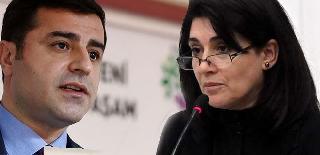 Demirtaş: Zana'nın Erdoğan Randevusu bireysel bir girişim