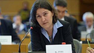 AP Türkiye Raportörü: PKK terör listesinden çıkarılamaz