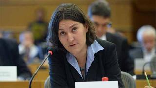 AP Türkiye Raportörü: PKK'nin barikat ve hendekleri kabul edilemez