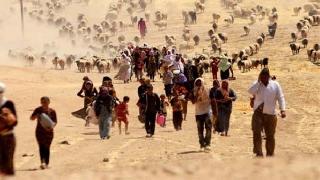 AP: IŞİD'in Ezidilere yönelik katliamları soykırımdır