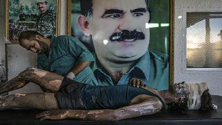 2015'in en iyi fotoğrafları