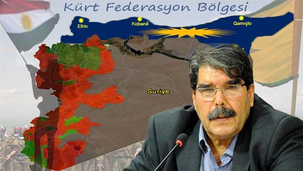 Salih Müslim: ABD'yi federasyonu tanımaya ikna edeceğiz!