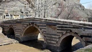 Van'da tarihi köprü yıkılma tehlikesinde