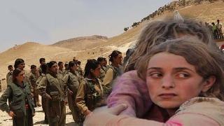 YPŞ komutanı: YPŞ ve HPG yanlış yaptı!