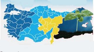 Hasan Doğan: Yoğunlaşılması Gereken Algılar mı, Olgular mı Olmalı ? 