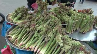 ABD'de araştırıldı: Kanser hücrelerini durduruyor