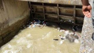 Van’da suyun içinde bir erkeğin cansız bedeni bulundu