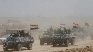 Irak ordu güçleri Feluce'ye girdi