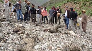 Yüksekova'da sel felaketi