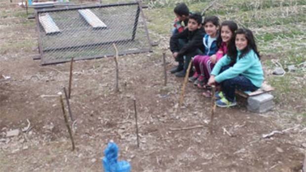 Survivor Köyü'nde sokağa çıkma yasağı