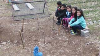 Survivor Köyü'nde sokağa çıkma yasağı