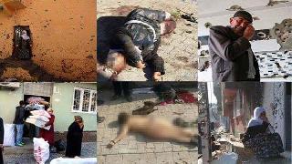 11 ayda yedi bin insan öldüren AKP çözüm istiyor!