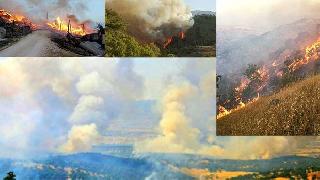 Mehmet Söğüt: Lice yakılıyor, çünkü Gezi Parkı değil