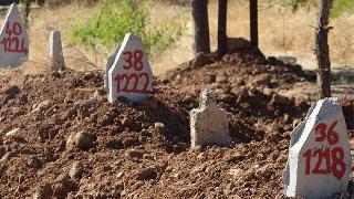 Silopi'de isimsiz, numaralı mezar taşları