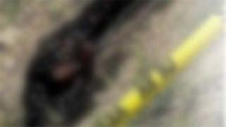 Erciş'te yol kenarında yanmış ceset bulundu