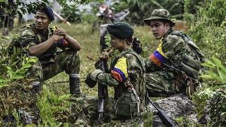 FARC Rojava haberini yalanladı