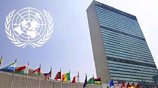 Öcalan'ın avukatları BM'ye başvurdu