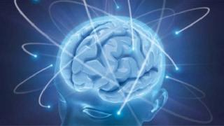 Bilim adamları, beynin gençlik yıllarında en fazla değişime uğrayan bölgelerini belirledi.