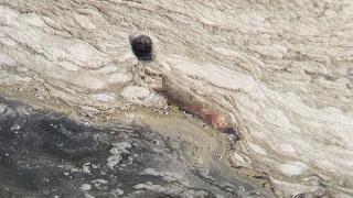 Yetkililer, sporcuları uyardı! Sudan ceset parçaları çıkıyor