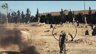 'Kilo vermek' için IŞİD'e katıldı