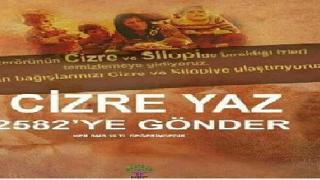 Sosyal medya'da, Cizre'ye yardım sahtekarlığı