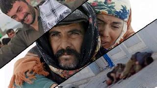 Kürt halkının yılmaz dostu, Tarık Akan