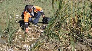 Antep'te korkutan görüntü