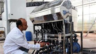 -46 derecede Van'da domates üretildi